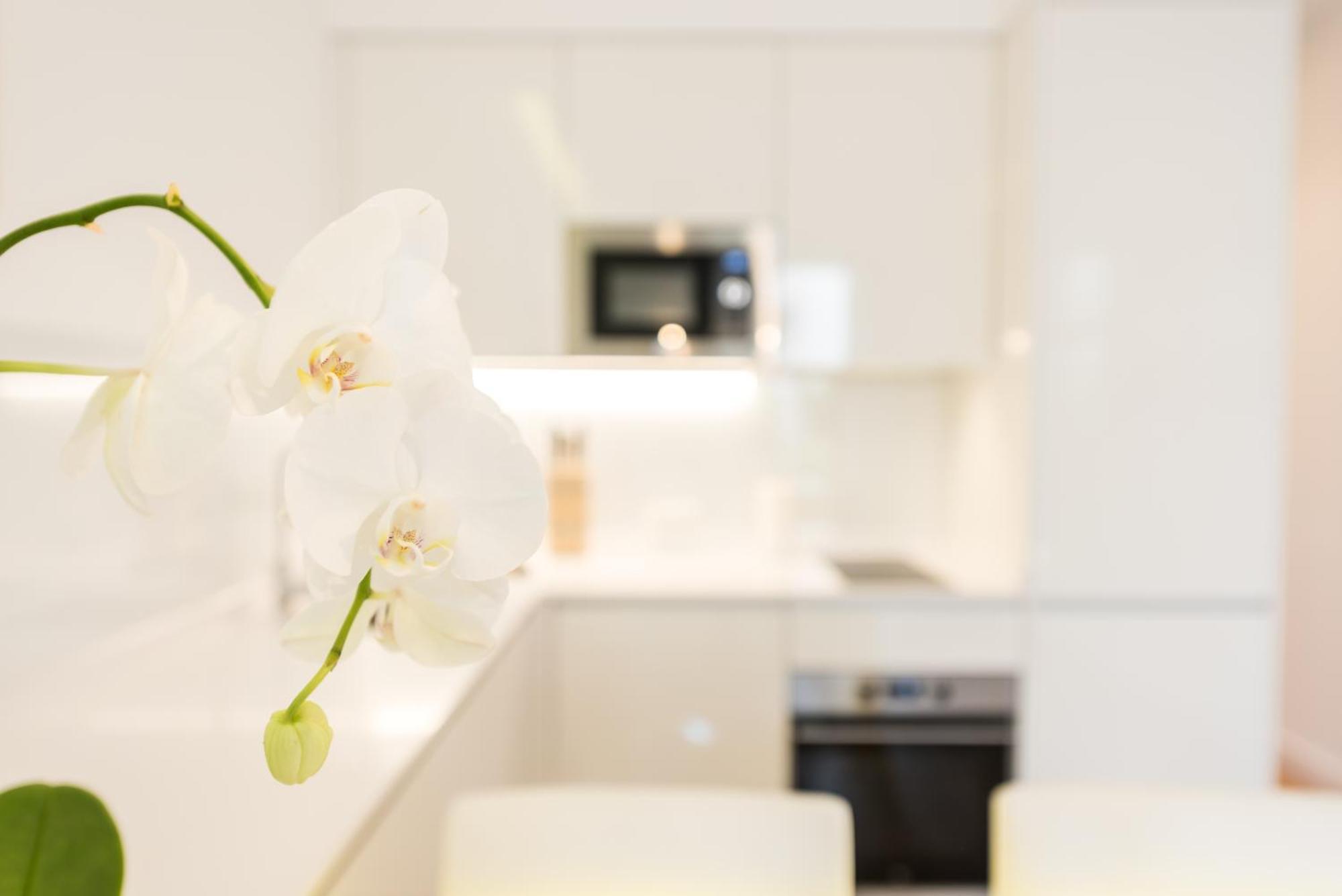 Malasana Plaza Apartment Madrid Exterior photo